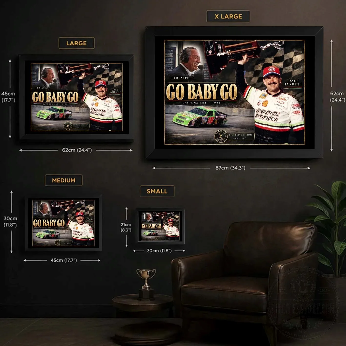 Dale Jarrett and Ned Jarrett Go Baby Go Daytona 500 1993 NASCAR Wall Art 10 Dale Jarrett and Ned Jarrett Go Baby Go Daytona 500 1993 NASCAR Wall Art